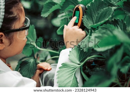 Junior scientist learn to use soil survey instrument. Measuring soil temperature and moisture, lighting intensity, acid- base balance which are all important for crops growth in strawberry farming.