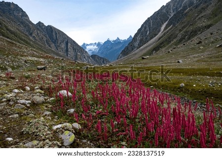 Landscape of Hampta pass trek. The trek starts from Hampta valley and ends at Lahul valley through the beautiful hampta pass.
