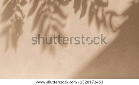 Minimal empty white marble stone counter table top, green tree in sunlight, leaf shadow on beige brown stucco cement wall