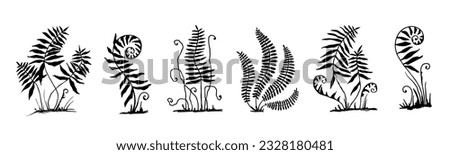 Set of forest fern leaves silhouettes. Vector graphics. Royalty-Free Stock Photo #2328180481