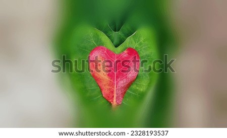 illustrated close up heart shaped green leaves and red leaf as love symbol background 