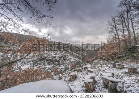 Landscape of snow-capped mountains and leafless trees in the middle of winter. Completely white landscape in the town of La Hiruela, Madrid, Spain.