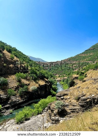 stream creek river habur brook. fast flowing river through mountains.mountain landscape green nature. blue and clear water