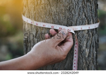 Hand uses measuring tape to measure trunk of tree. Concept , forest valuation. Conservation of environment. Analysis and research about growth of tree.                             Royalty-Free Stock Photo #2328242049