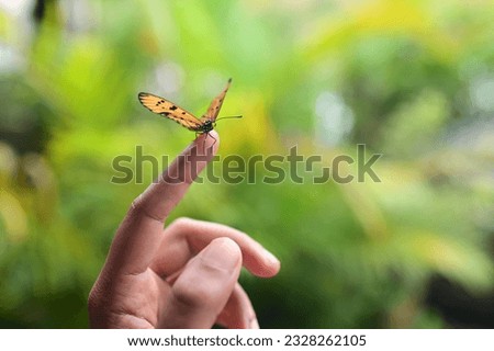 "Embracing the Ethereal: A Moment of Connection between Human and Butterfly"