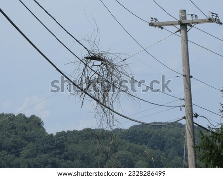 Rural power lines with hanging debris 