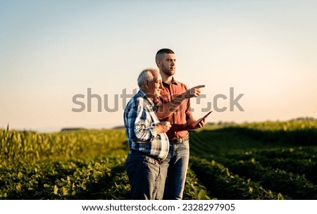 Two farmers standing in a field examining soy crop.