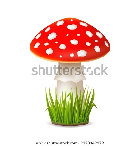 Vector realistic mushroom Fly agaric or Amanita muscaria, with grass. Royalty-Free Stock Photo #2328342179