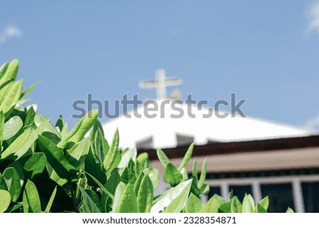 white catholic church building and has a cross on the roof of the church