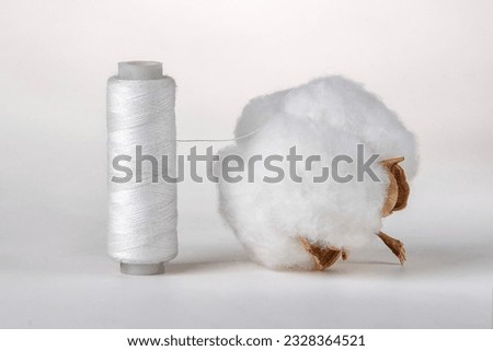 cotton flower and a thread coming out of it. The concept of using cotton fiber.