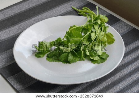 A close-up stock photo featuring wet, vibrant coriander leaves against a crisp white plate. The image highlights the herb's freshness and natural beauty.