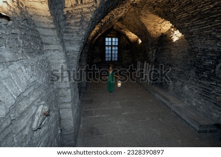 Beautiful girl in a dress inside the old castle in the old town. High quality photo