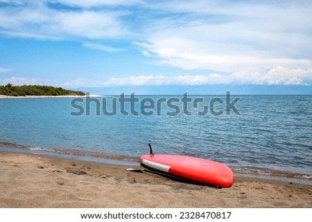 surf with a paddle on the beach