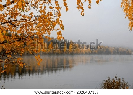 a calm lake in oreanga autumn leaves in front 