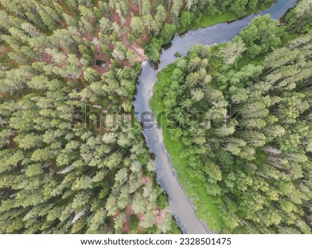Drone view of the Valge river flowing through the forest on a summer day. High quality photo