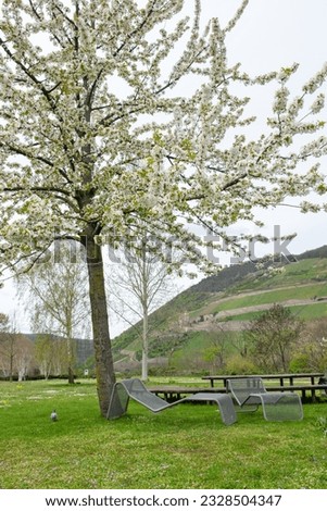 Beautiful park in Europe in the spring time near a river. A chairs under the tree. Rest and relax in nature.