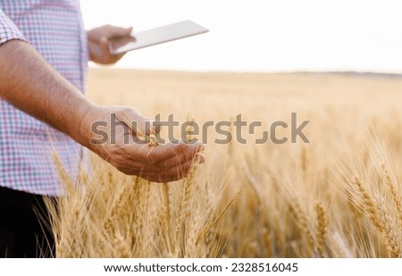 Close-up of an adult man's hands in an agricultural field, skillfully sowing seeds of barley, symbolizing the hard work and dedication of a proud farmer.
