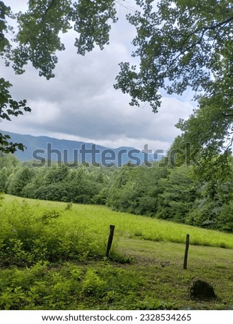 This photo was captured while I was walking a trail at Cades Cove in Tennessee. the photo captures the Open Fields with the mountains in the distance.