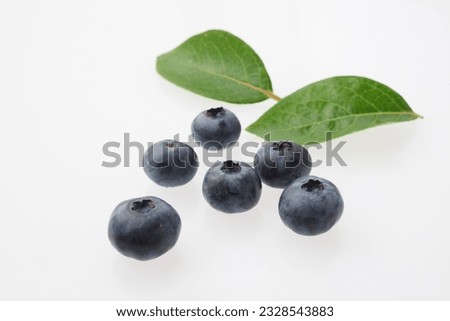 Blueberry fruit shot in the studio against a white background