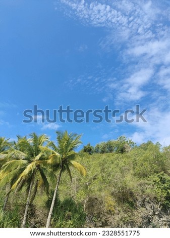 blue sky green forest nice