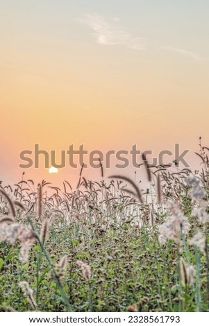Stunning colorful meadow autumn sunrise with sunlight background. Happy new day and World environment day concept:
