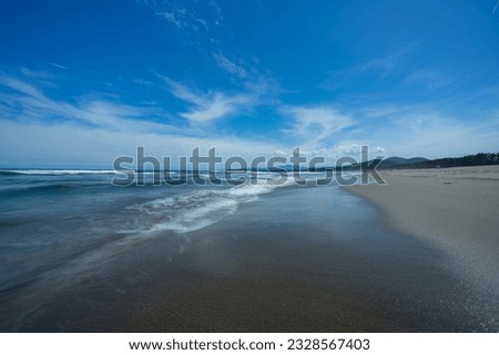 sea ​​waves on the sandy beach