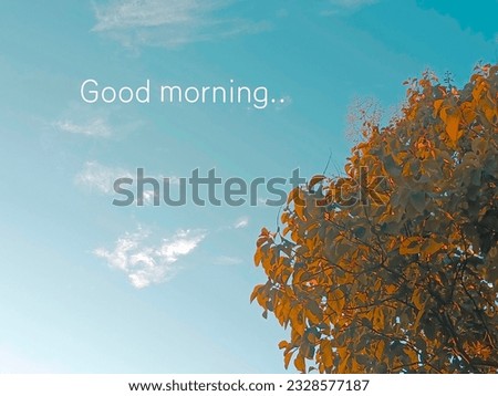 "Good morning" greets the beautiful light blue sky.  with treetops in a bright morning
