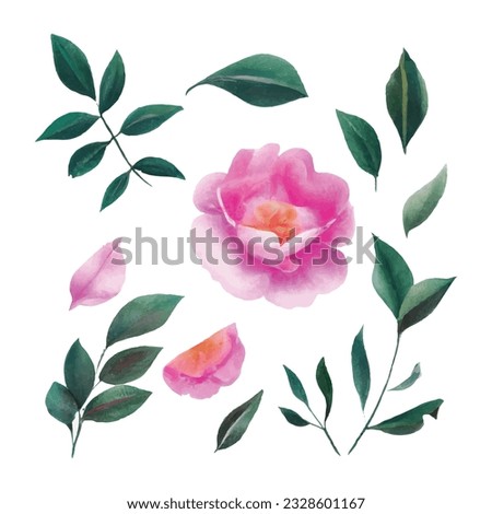 Beautiful set of bouquet of watercolor flowers and leaves. watercolor floral elements
