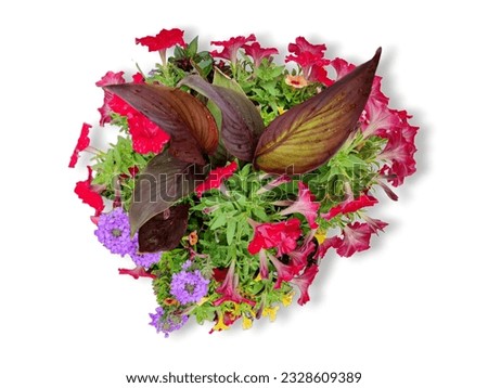 bouquet of multicolor flowers isolated on white background