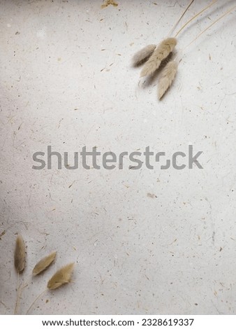 Beautiful cream floral minimal composition. Brown soft lagurus or rabbit's tail grass texture background. Springtime concept. Product advertising backdrop. Flat lay top view copy space.