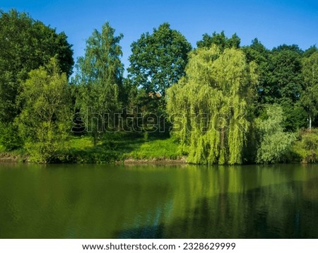 photo landscape river bank on a summer day