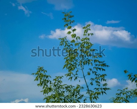 photo of a blue sky with clouds