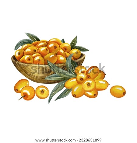 Sea buckthorn berries in a wooden bowl. Watercolor hand drawn illustration. Isolate on white background. For cosmetology, pharmaceuticals, food industry. For packaging and printing, labels and flyers.