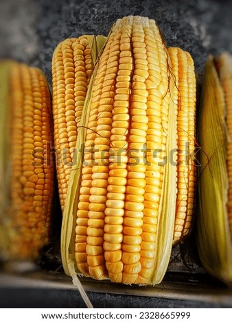 green corn, can be used in juices, cakes, sweets, pamonhas in various culinary dishes and also for decoration.