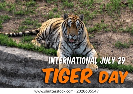 INTERNATIONAL TIGER DAY, 29 JULY Royalty-Free Stock Photo #2328685549