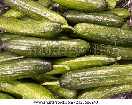 Macro photo green fresh cucumbers. Stock photo green cucumber vegetable background Royalty-Free Stock Photo #2328686243