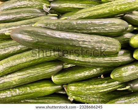 Macro photo green fresh cucumbers. Stock photo green cucumber vegetable background Royalty-Free Stock Photo #2328686245