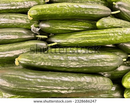 Macro photo green fresh cucumbers. Stock photo green cucumber vegetable background Royalty-Free Stock Photo #2328686247