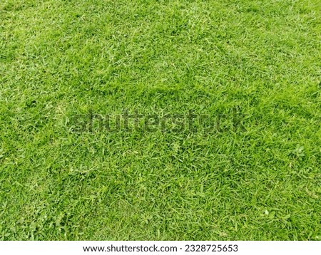 Image of a lush green football field and can be used as a background image.