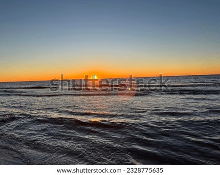 Sunset on a Florida Beach, Funny Dog Pictures 