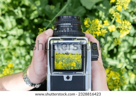 Person taking a photo of a rape field with an old viewfinder camera.