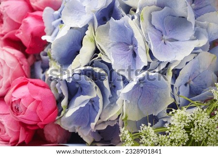 Bouquet of peony roses with hydrangea on a pink background, close up. Top view.