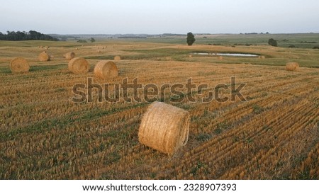 Autumn landscape with haystacks on the mowed field. Agricultural landscape in eastern Lithuania.