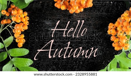 Hello Autumn text. Rowan berries on vintage black wooden boards  , copy space Royalty-Free Stock Photo #2328955881