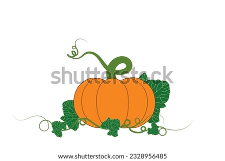 Ripe orange pumpkin with green fresh leaves and bunch of vine. Graphic element design on white background.