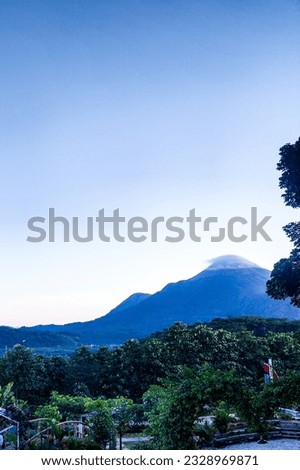 Mountain view with shady trees 