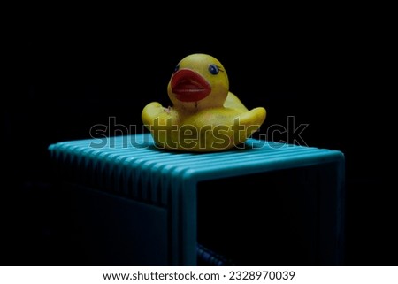 .A miniature baby duck on a blue box with a black background.