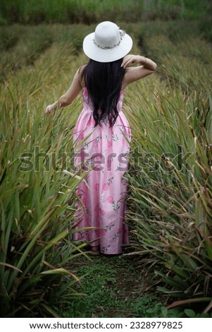 Woman with pink dress walking in the pineapple field.