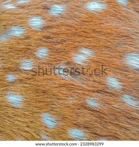 Deer skin pattern white spot in picture

