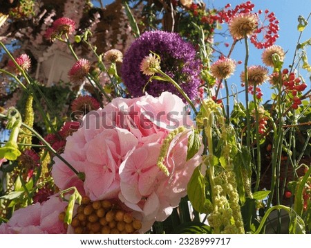 
Bouquets of flowers. flower festival